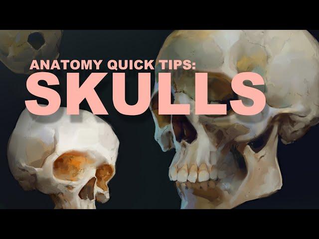 Anatomy Quick Tips: Skulls