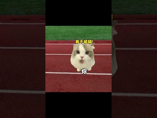 #猫meme小剧场 #猫meme #猫meme搞笑剧情 #猫meme剧场
