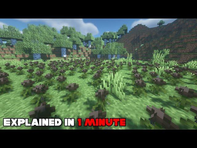 How to Easily Get Wither Roses in Minecraft || 1 Minute Tutorial