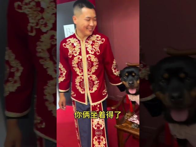 我真服…… #拉登与阿亮的日常生活