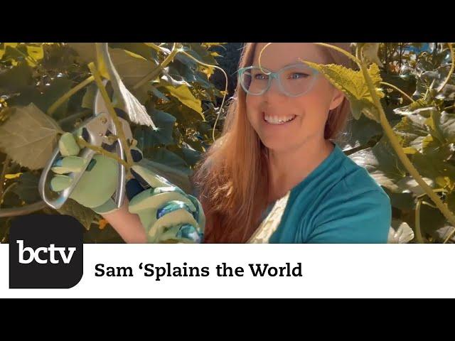 Garden Savage Mode, Vine Trainer Edition | Sam 'Splains the World