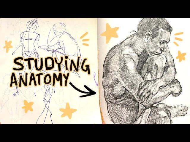 how I study anatomy  sketchbook tour 2019-2023