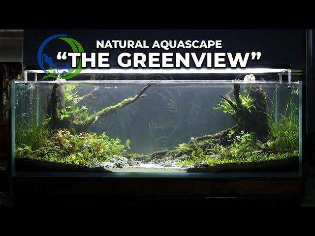 Rescape Client Tank - This How I Make A New 2 View Green Natural Aquascape