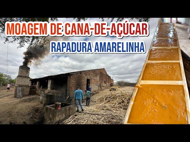 OS BASTIDORES DA FÁBRICA DE RAPADURA, MOAGEM NO ENGENHO DE CANA DE AÇÚCAR.