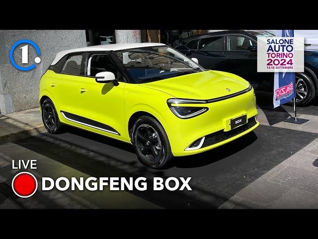 Una "Panda" cinese da 23.000 euro! | Dongfeng Box