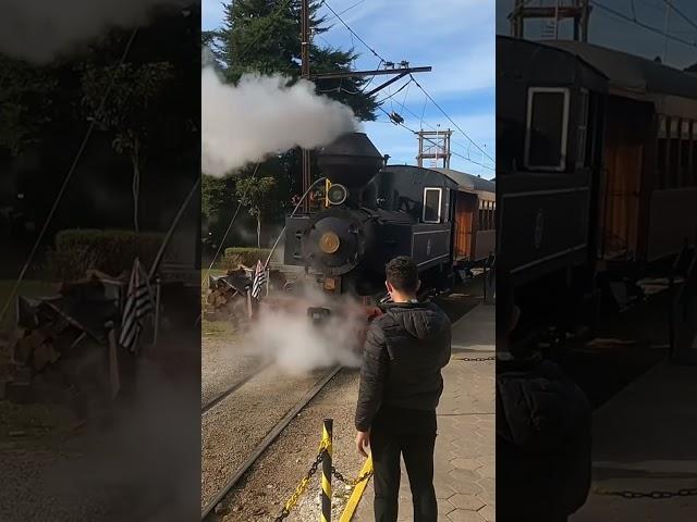 Wood burning Steam Locomotive  #shorts #oldstyletrain #train