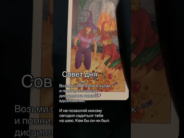 Совет дня от Таро