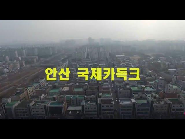 카니발 자동차 수리 로워암 엔도 파워고압호수 오무기어 휠얼라이먼트 브레이크라이닝 와이퍼교체 중국산 타이어교체 안산 카센터 국제카독크 타이어편마모 해결 가스통부식 파워오일누유 원인