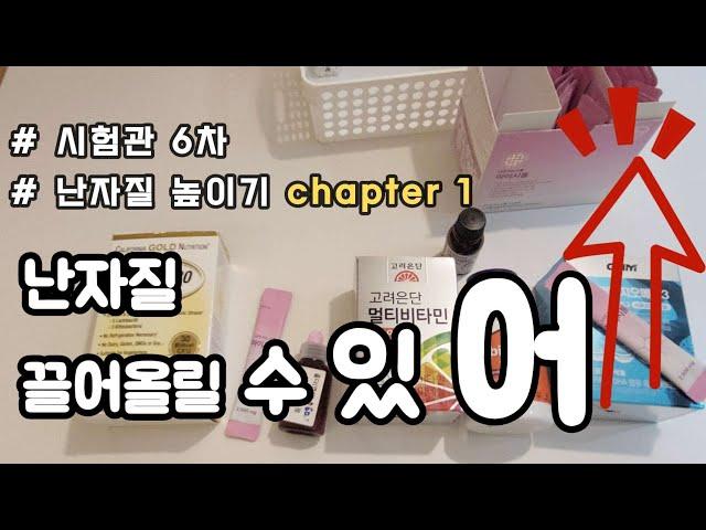[시험관 브이로그] 40대 난임 난자질 개선 Chapter 1 /영양제 챙겨 먹기!! 5차 실패 후 달라진 마음가짐/시험관 6차 장기요법