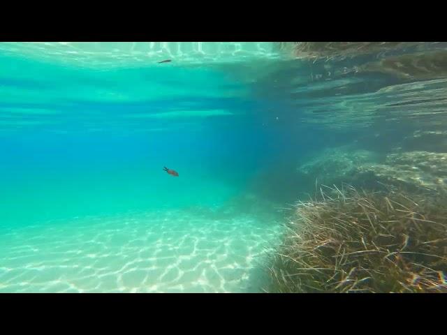 Isola d'Elba - spiaggia di Fetovaia