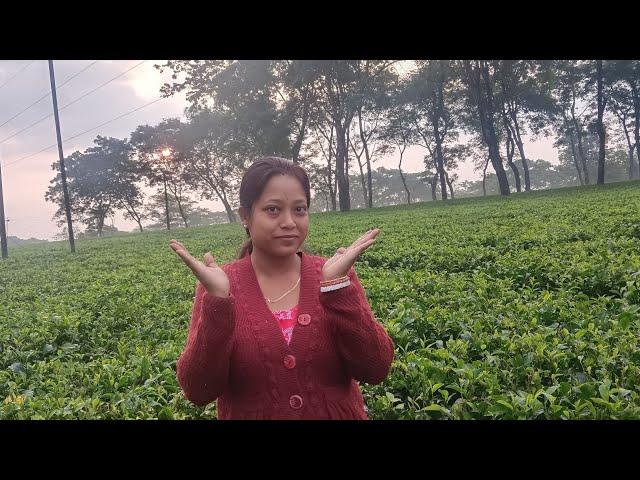 Lipis simple vlog is live!