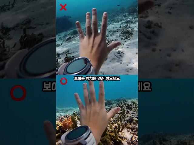 수중촬영 무조건 성공하는 법 #프리다이빙 #insta360acepro2 #insta360 #freediving