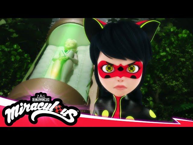 MIRACULOUS |  RECREATION - Akumatized  | SEASON 5 | Tales of Ladybug & Cat Noir