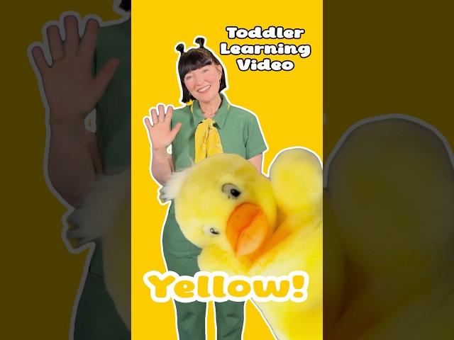 Teach Your Baby the Color Yellow and Letter Y | Babies & Toddlers | Child Development