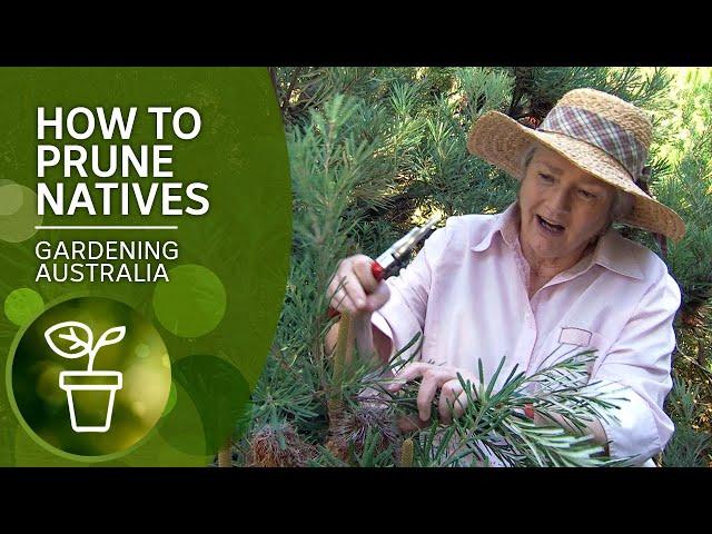 How to prune native plants