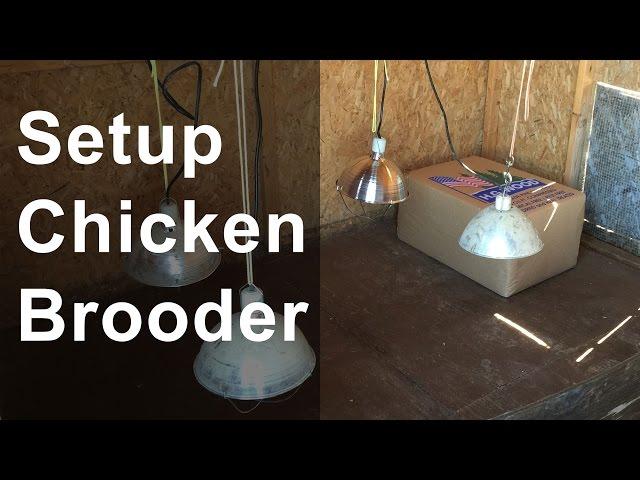 Set Up the Chicken Brooder