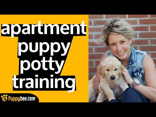 Potty Training a Puppy in an Apartment (Tips from 24 Dog Trainers)