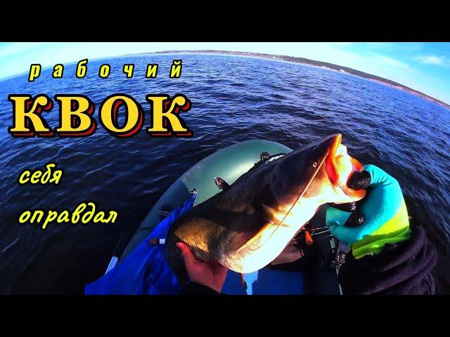 #fishing Ловим сома на квок! Самодельный квок опять на высоте !