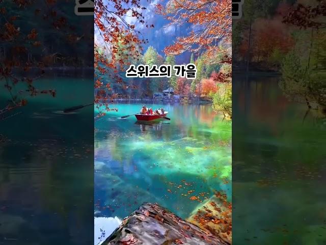 색감 실환가…꼭 가봐야지 #shorts