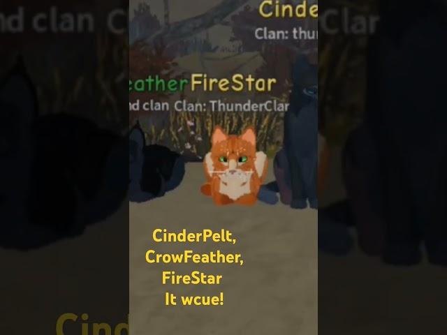 Warrior cats! #wcue #robloxwcue #roblox