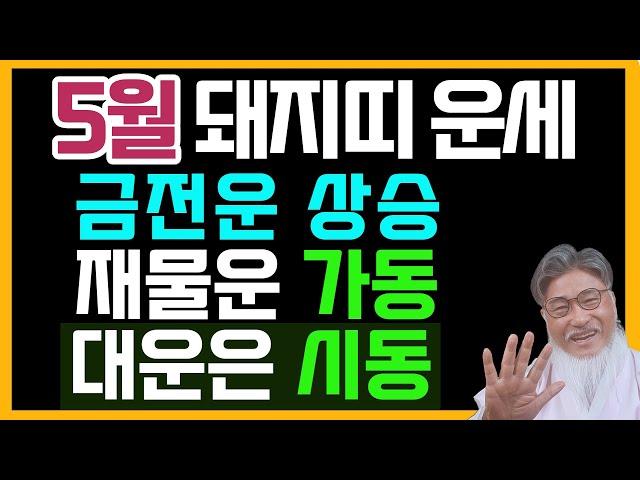 5월 돼지띠 운세:금전운 상승! 재물운 가동, 대운도 시동! 묵었던 돈줄이 터진다, 기다린 만큼 통장이 웃는다!