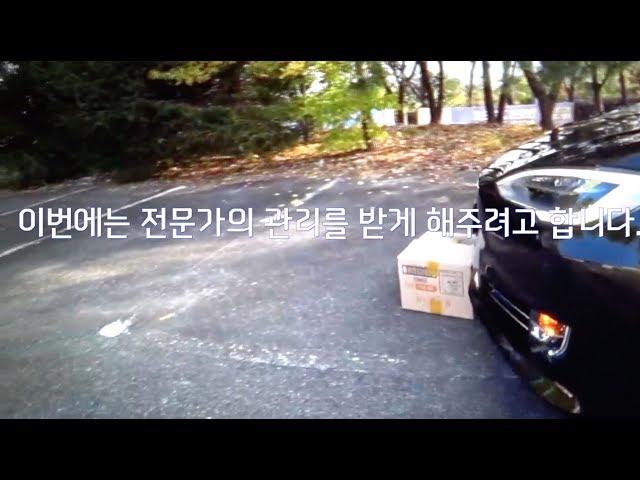 [한국에서 테슬라 타기] Tesla Model S - 극한직업 “키트”에게 케어를(방음/광택/PPF/코팅)