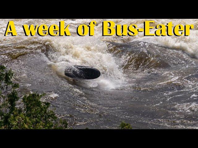 A Week of Mini-Bus.  The Ottawa RIver's Best Wave???