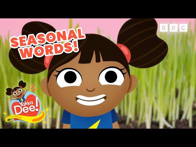 LIVE: Seasons MARATHON | Learn Spring, Summer, Autumn & Winter Words | Yakka Dee!