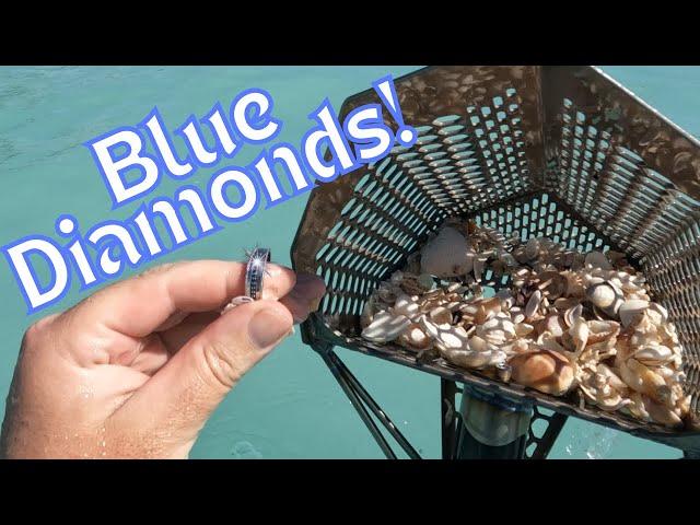 I Found A Ring Loaded With BLUE Diamonds! Beach Metal Detecting