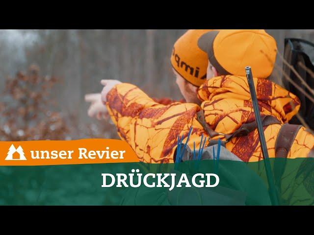 Auf Drückjagd im uJ-Testrevier I Driven Hunt in Germany I Keilerjagd in Sachsen I #14