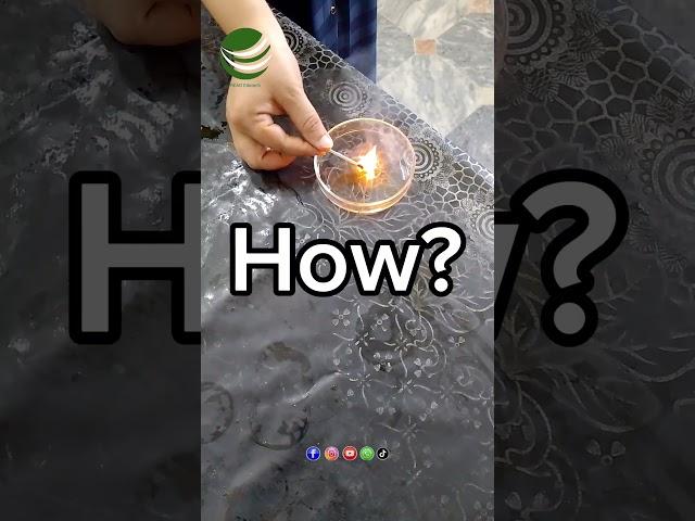 Amazing Science Experiment You Must Watch#shorts #readedutech