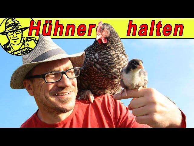 Großes Hühnervideo für Selbstversorger: Gesunde Hühner sind glückliche Hühner
