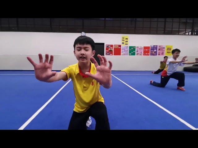 Hwa Chong Institution Wushu Team National Day Wushu Performance 2020