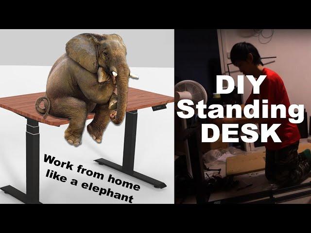 Motorised Standing Desk Setup | Better than OmniDesk ? | Singapore 2020