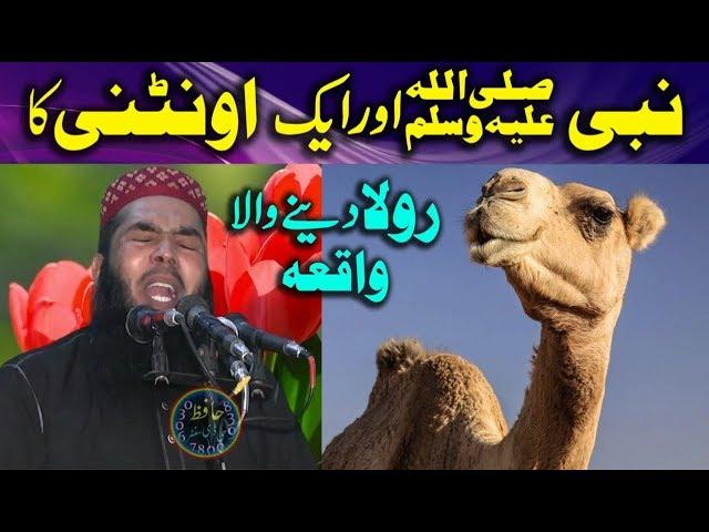 Nabi S.A.W Aur Aik Ontani Ka Waqia -- ShortClips -- Qari Ismail Ateeq 2018