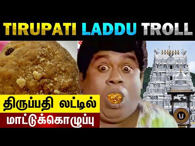 Tirupati Laddu | Beef Fat, Fish Oil - Today Trending Troll #tirupatiladdu