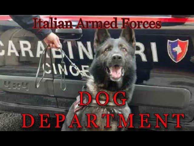 Italian Armed Forces DOG DEPARTMENT - Tribute Video