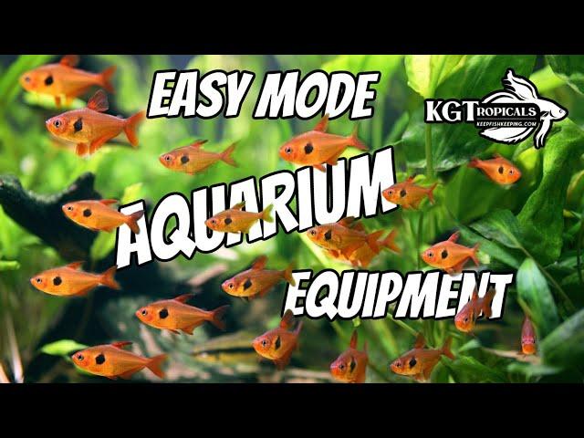 The Easiest Things For Your Fish Tank