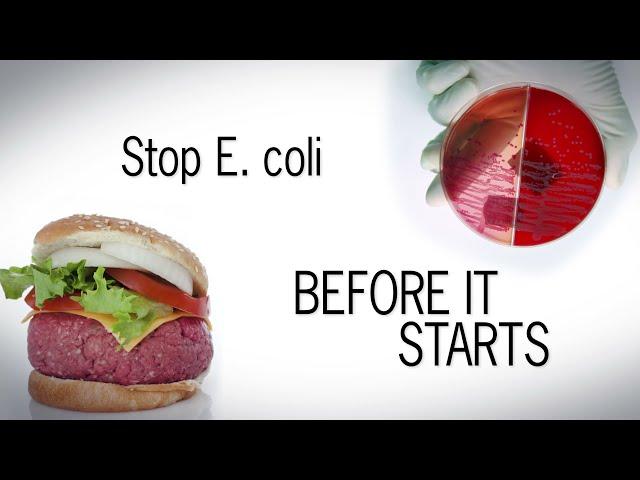 How to Stop E. coli Before It Starts