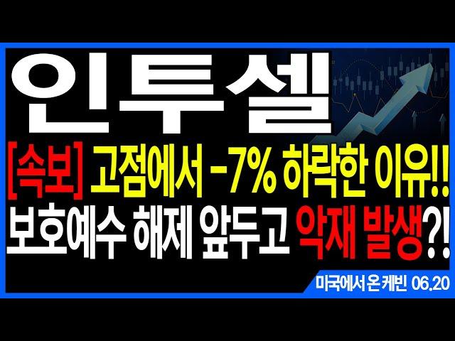 인투셀 주가전망] [속보] 고점에서 -7% 하락한 이유!! 보호예수 해제 앞두고 악재 발생?! feat. 주도주연구소DS 케빈 알테오젠 에이비엘바이오 ADC 리가켐바이오 펩트론