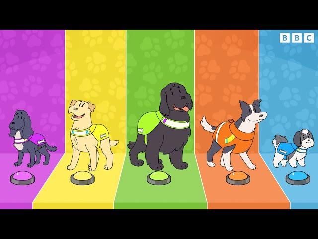 Meet the Dog Squad!  Songs | CBeebies