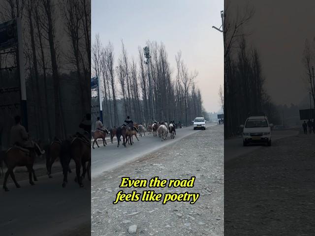 Kashmir—where every turn feels like a poem. 