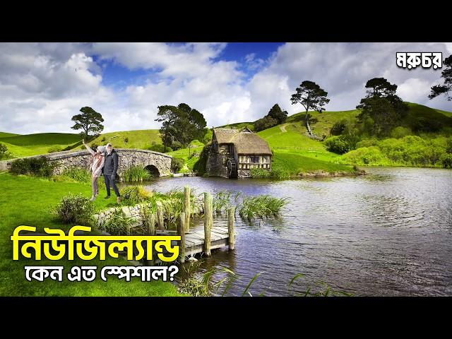 New Zealand || কি কি আছে? যা আমরা জানি না? || নিউজিল্যান্ডের খারাপ বিষয়টি কি? || Beautiful country