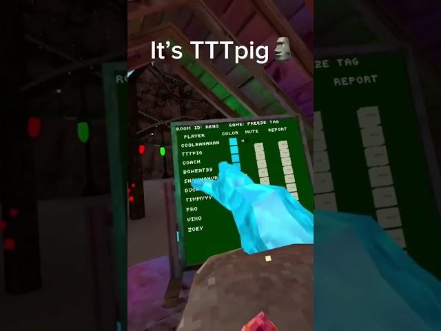 OMG TTT pig is in my lobby #funny #gtag #gorillatag #tttpig