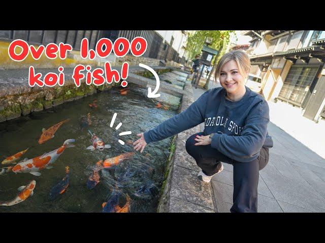 This Japanese Town has KOI FISH in the Streets  ft. @AbroadinJapan