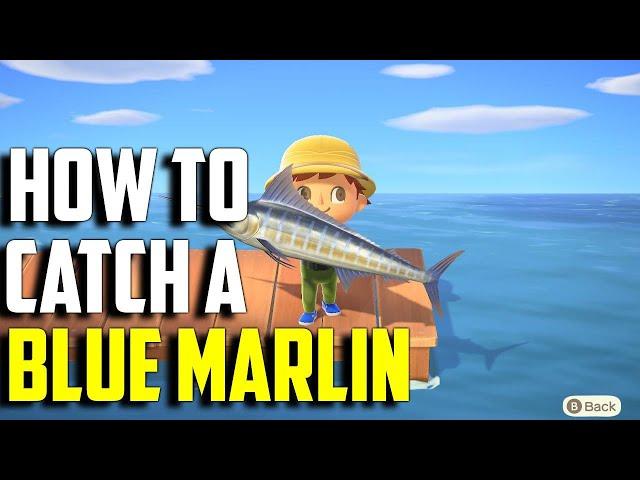 How to Catch a Blue Marlin | Blue Marlin ACNH | Blue Marlin Animal Crossing New Horizons