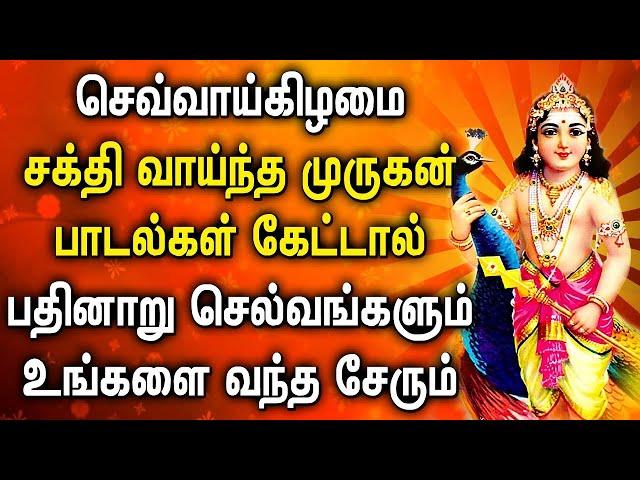 TUESDAY POPULAR MURUGAN TAMIL DEVOTIONAL SONGS | Lord Murugan Tamil Padalgal | Lord Murugan Songs