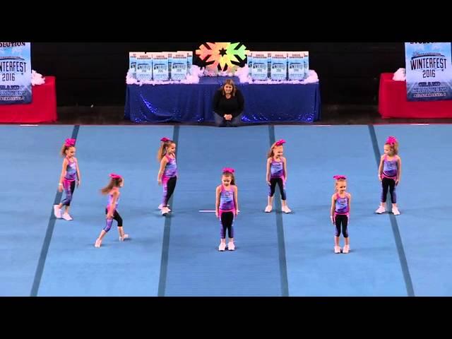 WILD All-Stars - Itty Bitty Kitties - Tiny 1