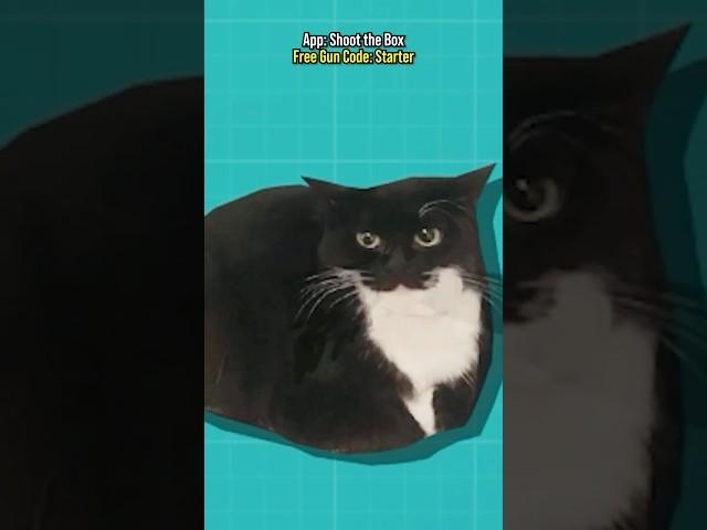 Finally Adding Maxwell To My Game 