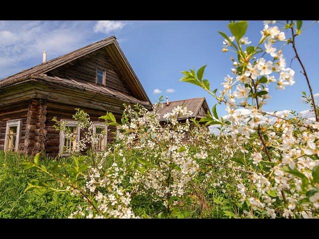 ЗАБРОШЕННОЕ ТАТАРСКОЕ СЕЛО в Мордовии. Смотрим брошенные деревенские дома последних жителей.